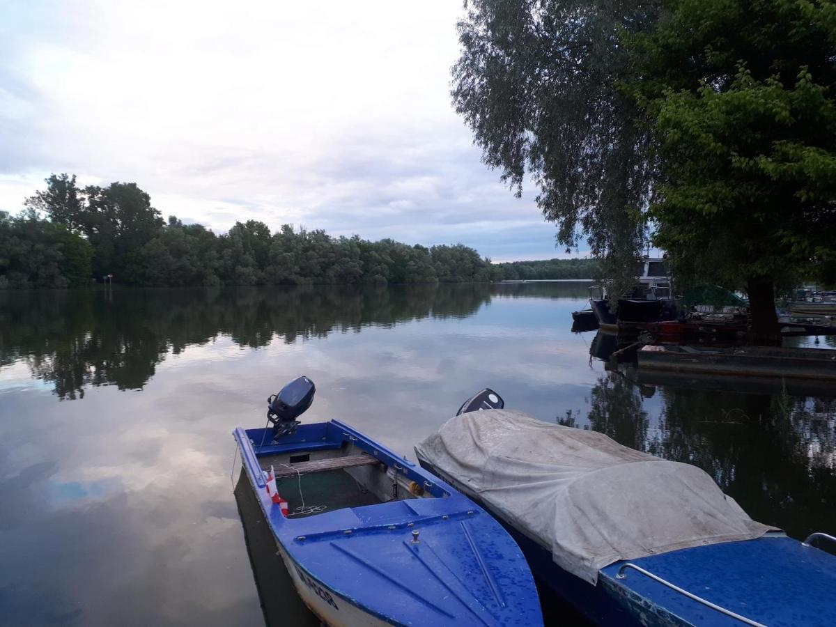 Udicarski Dom Usce Aljmaš Buitenkant foto
